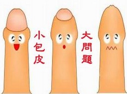 包皮过长/包茎